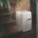 FAB5LCR6 (6)-dpi72.jpg