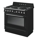 TR90GMBL (2)-dpi72.jpg