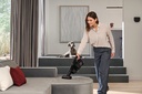 HX3CAT&DOG (6)-dpi72.jpg