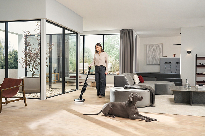 HX3CAT&DOG (8)-dpi72.jpg