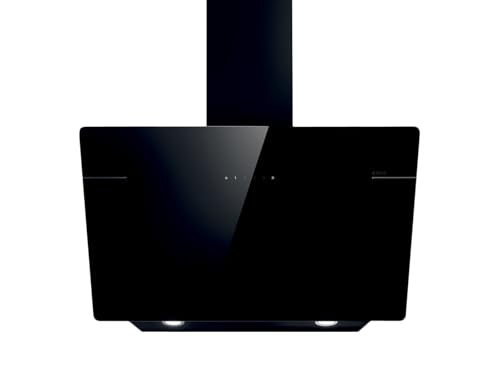 Hotte décorative