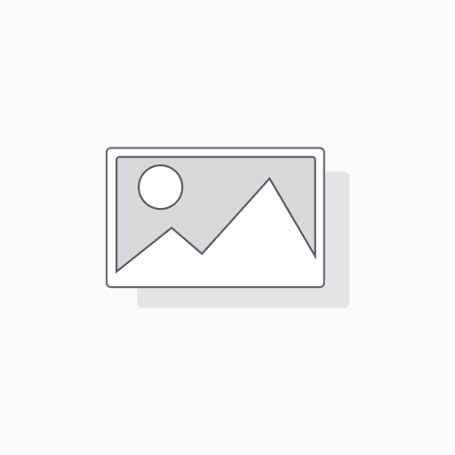 Hotte décorative