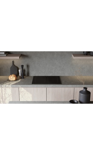 [HI1655G] Plaque induction