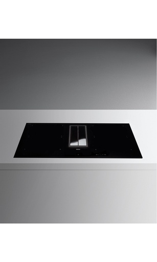 [QUANTUMPRO3421] Plaque induction avec hotte aspirante
