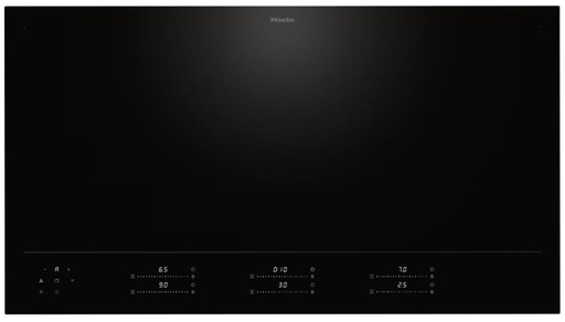 [KM8695-2FL] Plaque induction